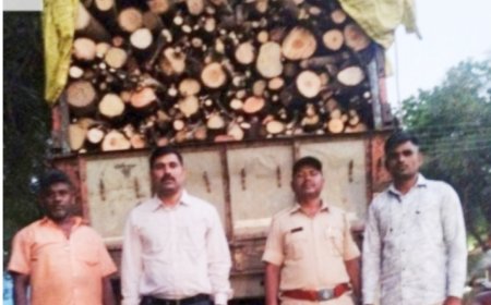 अवैध जळावू लाकूड वाहतूक करणाऱ्या एकावर कारवाई ट्रकसह मुद्देमाल जप्त