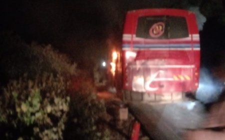 रावेर पुणे साई सिद्धी ट्रॅव्हल ने घेतला अचानक पेट सुदैवाने कोणालाही दुखापत नाही