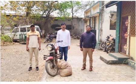 वीस किलो डिंक जप्त ,वनविभागाची कारवाई