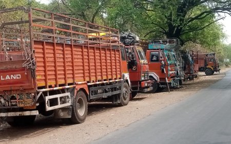 *डी वाय एस पी अन्नापुर्णा सिंग यांनी पकडले अवैधरित्या म्हशी वाहतूक करणारे ६ ट्रक,सावदा पोलिस ठाण्यात गुन्हा दाखल १२ आरोपी अटक,१०५ म्हशींसह ६९ लाखांचा मुद्देमाल जप्त"