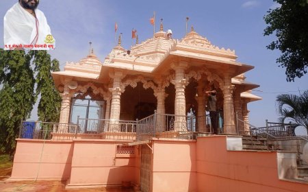 पाल वृंदावन धाम आश्रमात गुरुपौर्णिमेची जय्यत तयारी ; महाराष्ट्र व मध्यप्रदेशातुन  पायी दिंडी दाखल होणार*