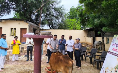 विशाल अग्रवाल यांचा वाढदिवस गोपूजनाने उत्साहात साजरा