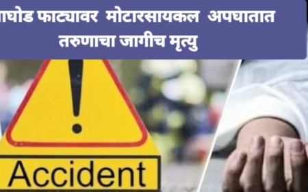वाघोड फाट्यावर अंकलेश्वर बऱ्हाणपूर महामार्गावर तरुणाचा अपघातात जागीच दुर्दैवी मृत्यू