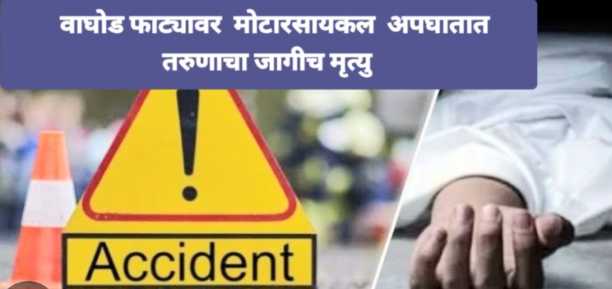 वाघोड फाट्यावर अंकलेश्वर बऱ्हाणपूर महामार्गावर तरुणाचा अपघातात जागीच दुर्दैवी मृत्यू