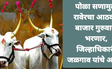 पोळा सणामुळे रावेरचा शुक्रवारचा  आठवडे बाजार 21 ऑगस्ट गुरुवारी भरणार, जिल्हाधिकारी जळगाव यांचे  आदेश