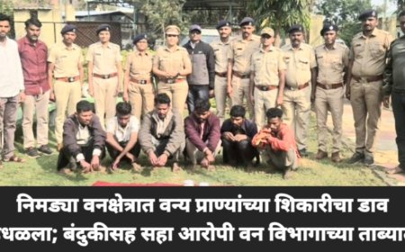 निमड्या वनक्षेत्रात वन्य प्राण्यांच्या शिकारीचा डाव उधळला; बंदुकीसह सहा आरोपी वन विभागाच्या ताब्यात