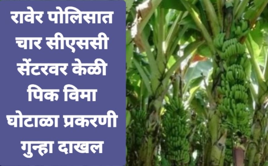 रावेर पोलिसात चार सी एस सी सेंटरवर केळी पिक विमा घोटाळा प्रकरणी गुन्हा दाखल