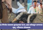 झाड कोसळून तरुणाचा दुर्दैवी मृत्यू वाघोदा-निंभोरा रस्त्यावर हृदयद्रावक घटना; परिसरात शोककळा