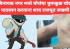 चोरट्यांचा पाठलाग करताना शरद राजपूत जखमी, चोरट्यांना लावले पळवून