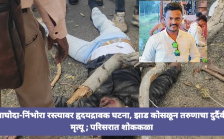 झाड कोसळून तरुणाचा दुर्दैवी मृत्यू वाघोदा-निंभोरा रस्त्यावर हृदयद्रावक घटना; परिसरात शोककळा