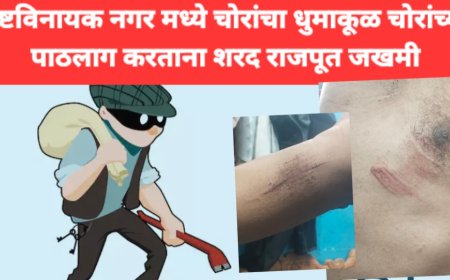 चोरट्यांचा पाठलाग करताना शरद राजपूत जखमी, चोरट्यांना लावले पळवून