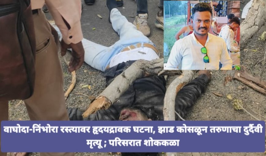 झाड कोसळून तरुणाचा दुर्दैवी मृत्यू वाघोदा-निंभोरा रस्त्यावर हृदयद्रावक घटना; परिसरात शोककळा