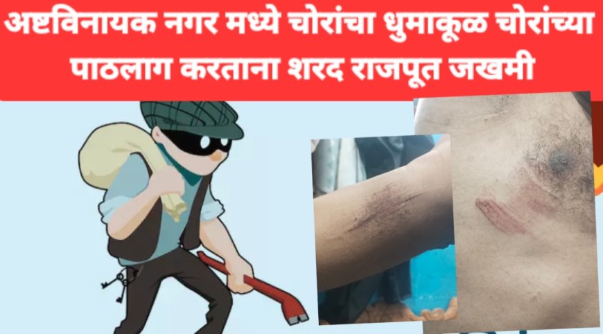 चोरट्यांचा पाठलाग करताना शरद राजपूत जखमी, चोरट्यांना लावले पळवून